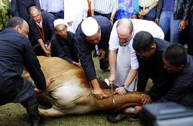 Sambut Hari Raya Haji 2024 dengan Meriah: Tradisi dan Persediaan